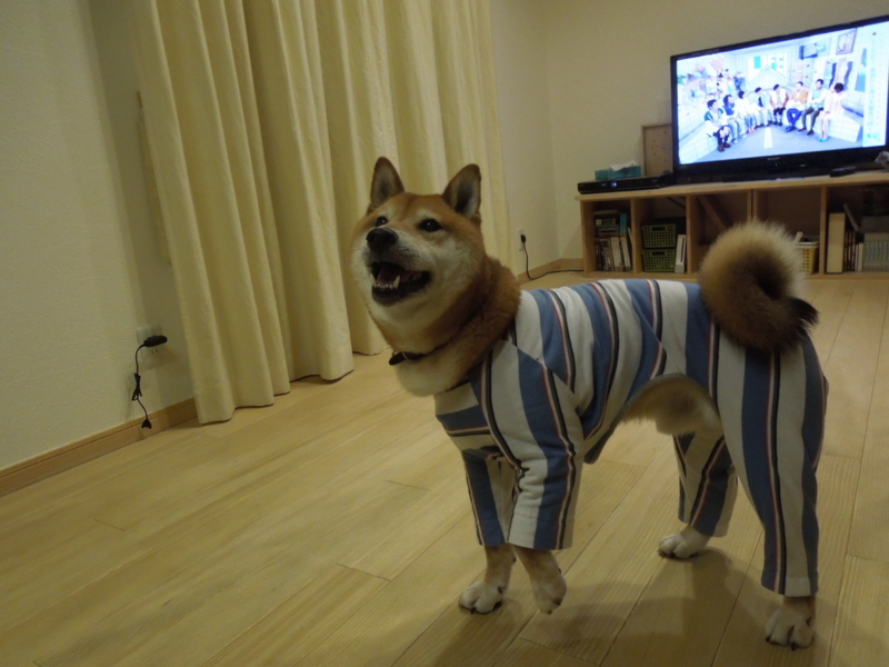 f:id:miyuki1967:20140627112536j:image:w450