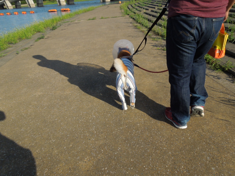 f:id:miyuki1967:20140902095554j:image:w450