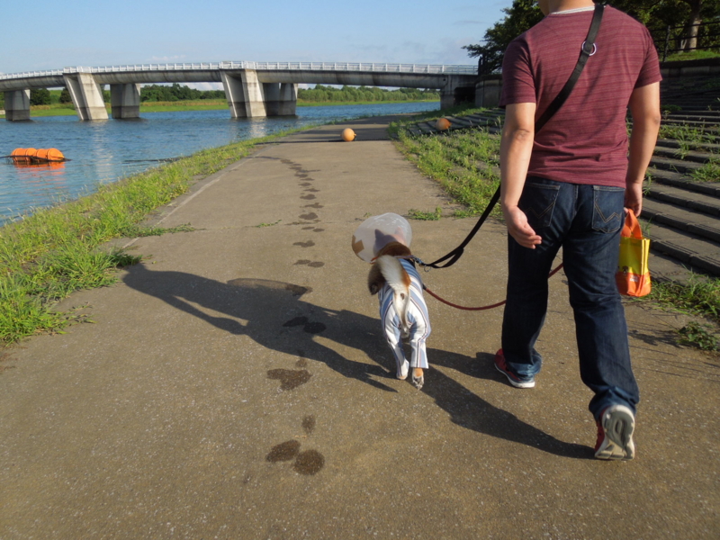 f:id:miyuki1967:20140902101209j:image:w450