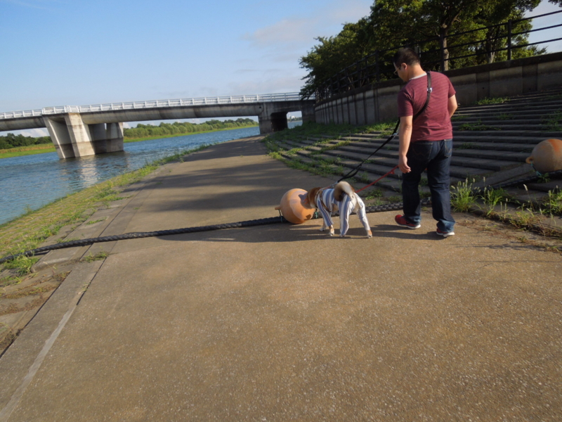 f:id:miyuki1967:20140902103126j:image:w450