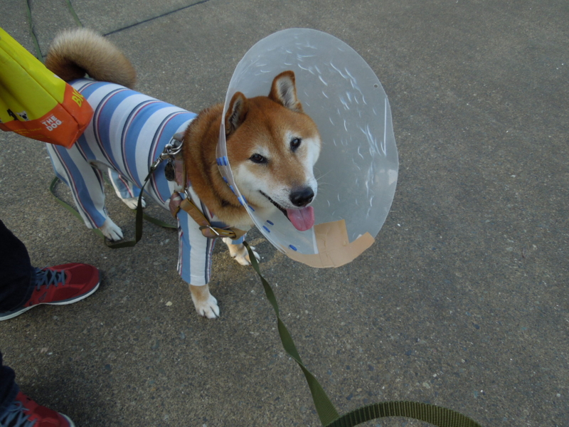 f:id:miyuki1967:20140902110631j:image:w450