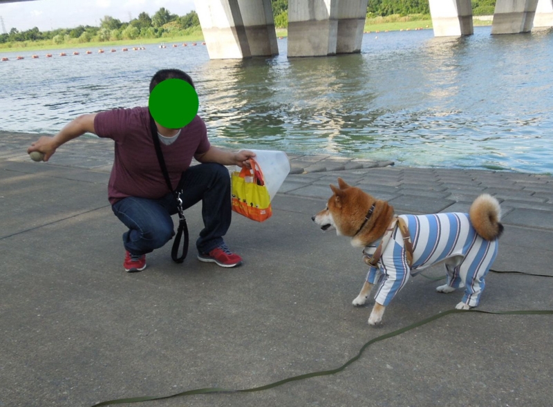 f:id:miyuki1967:20140902110701j:image:w450