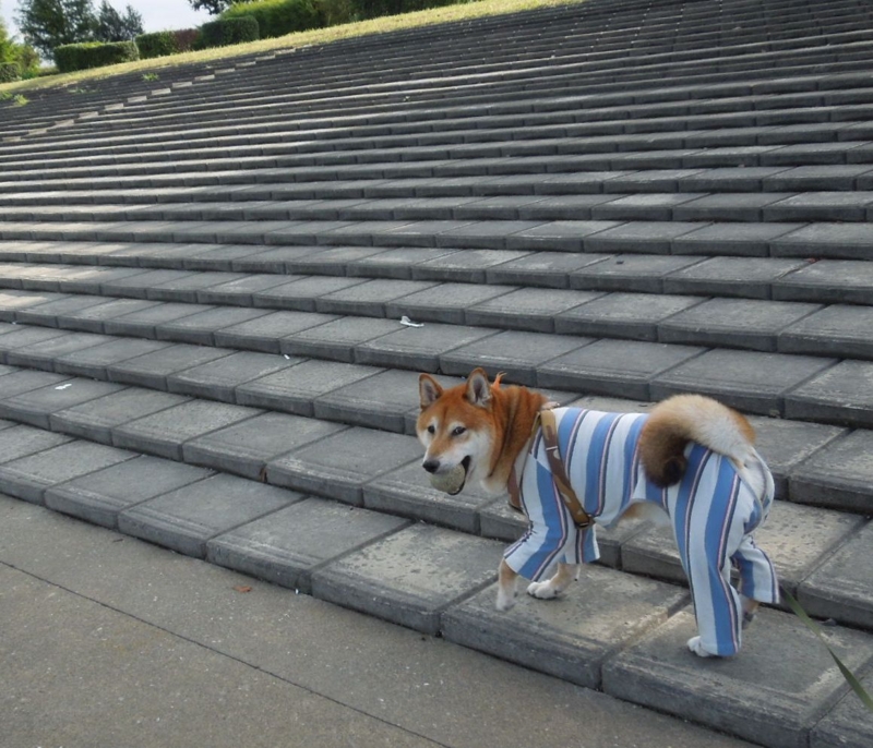 f:id:miyuki1967:20140902110722j:image:w450