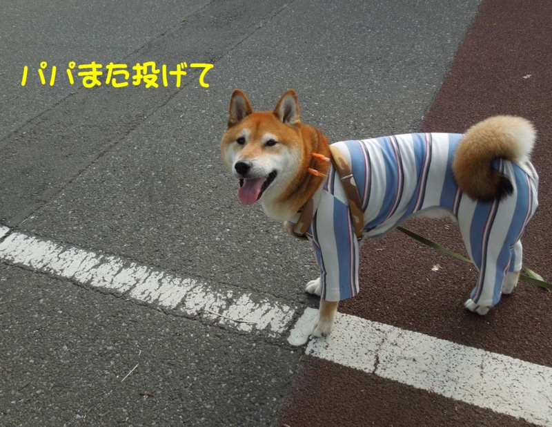 f:id:miyuki1967:20140902111150j:image:w450