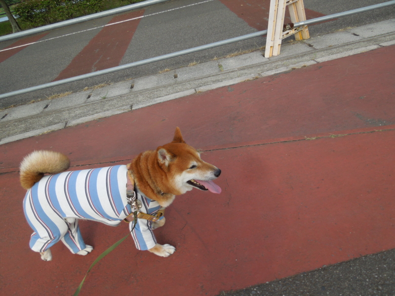 f:id:miyuki1967:20140902111251j:image:w450