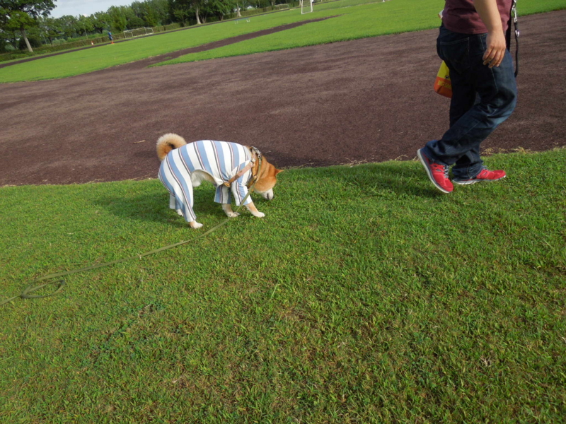 f:id:miyuki1967:20140902111419j:image:w450