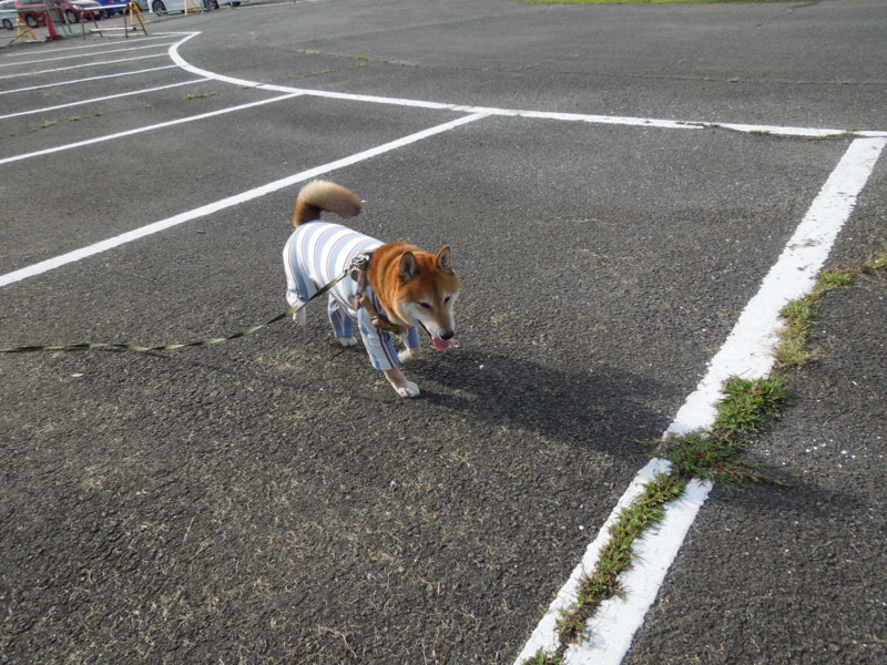 f:id:miyuki1967:20140902111906j:image:w450