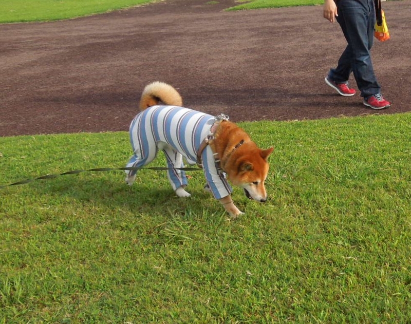 f:id:miyuki1967:20140902113050j:image:w450