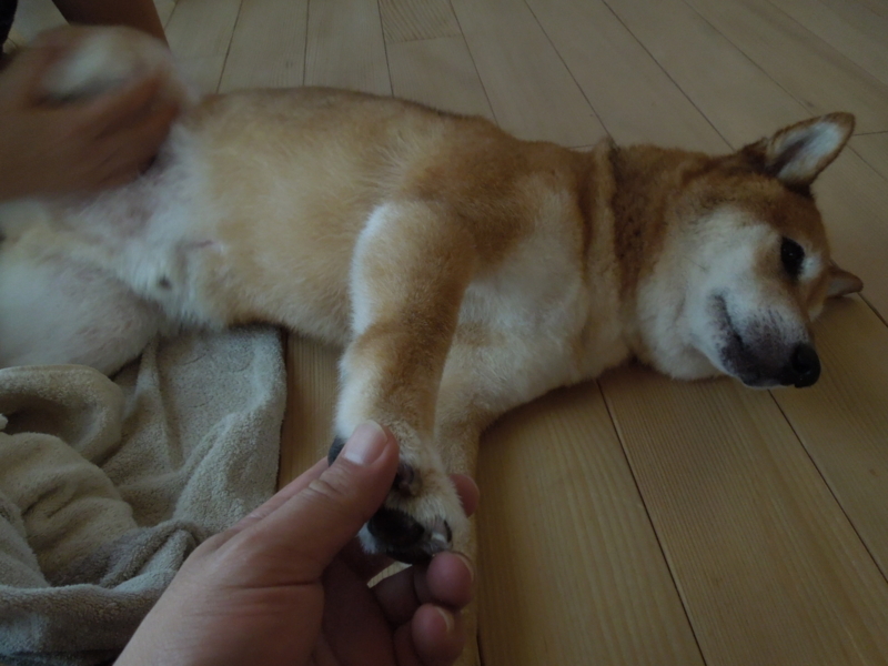 f:id:miyuki1967:20140903112724j:image f:id:miyuki1967:20140903112724j:image