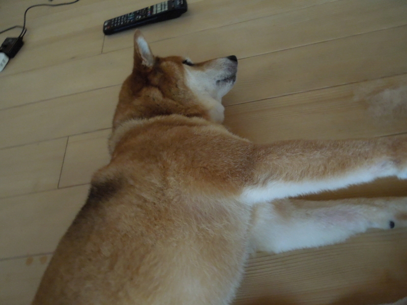 f:id:miyuki1967:20140903112729j:image f:id:miyuki1967:20140903112729j:image