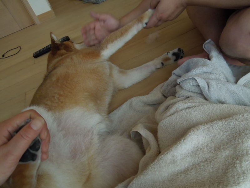 f:id:miyuki1967:20140903112733j:image f:id:miyuki1967:20140903112733j:image