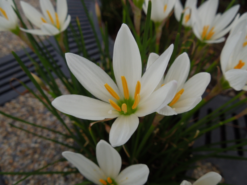 f:id:miyuki1967:20140905112718j:image:w450 f:id:miyuki1967:20140905112718j:image:w450