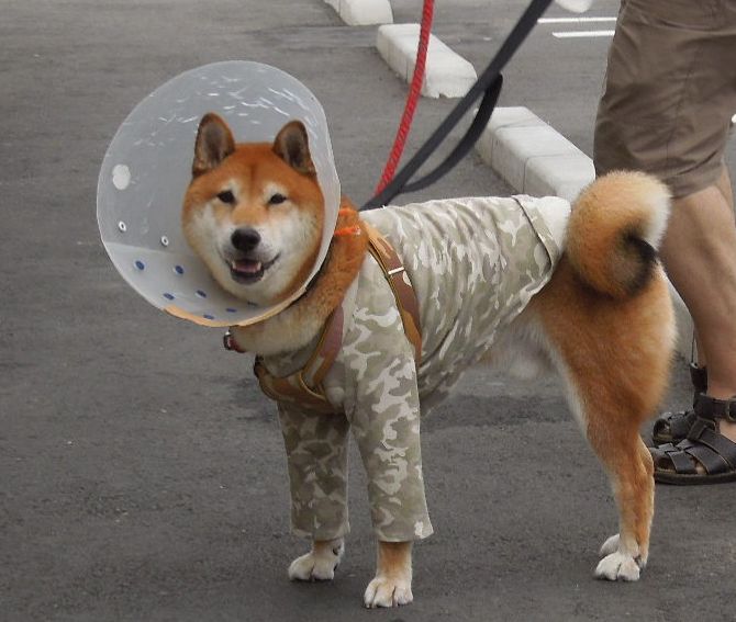 f:id:miyuki1967:20140905113241j:image f:id:miyuki1967:20140905113241j:image