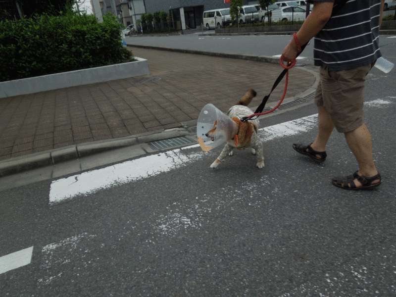 f:id:miyuki1967:20140905113615g:image f:id:miyuki1967:20140905113615g:image