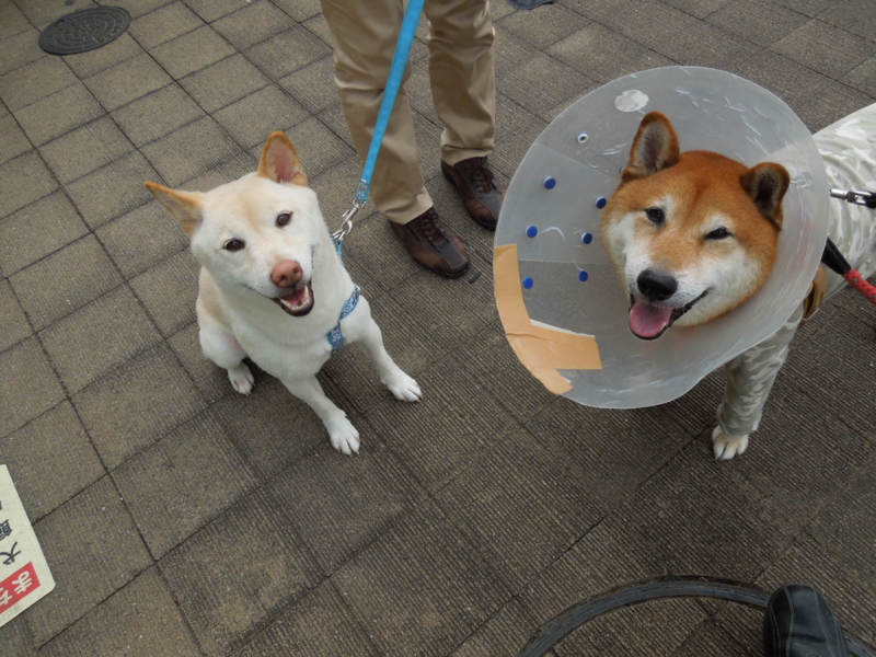 f:id:miyuki1967:20140905113646j:image f:id:miyuki1967:20140905113646j:image