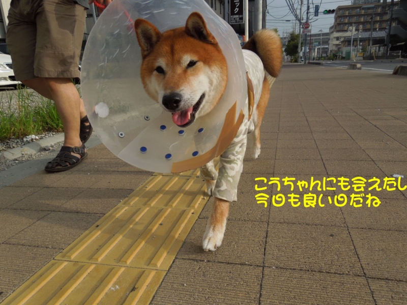 f:id:miyuki1967:20140905114029j:image f:id:miyuki1967:20140905114029j:image