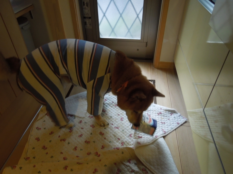 f:id:miyuki1967:20140917111022j:image:w450