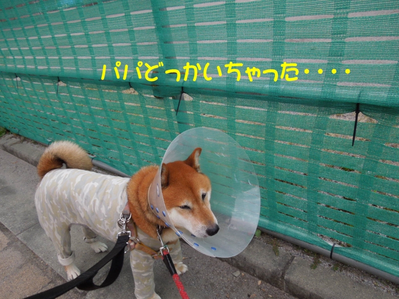 f:id:miyuki1967:20140919112048j:image:w450
