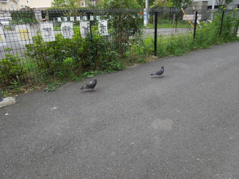 f:id:miyuki1967:20140919112415j:image:w450