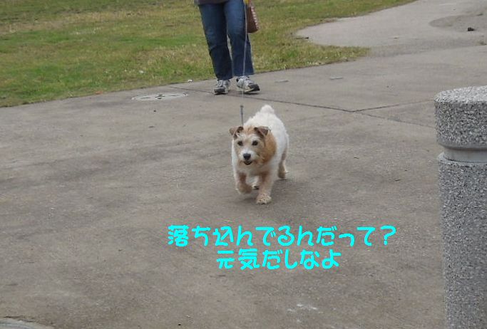 f:id:miyuki1967:20140919112623j:image:w450