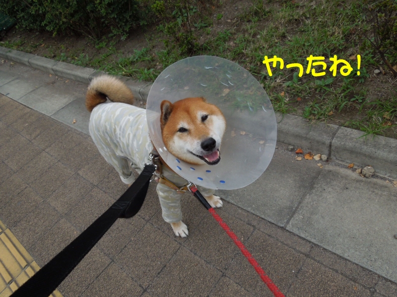 f:id:miyuki1967:20140919113332j:image:w450