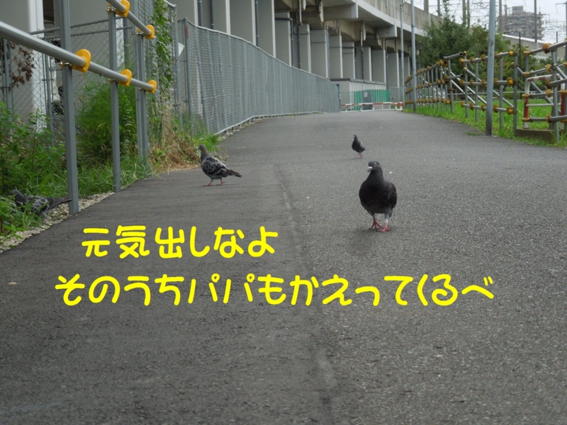 f:id:miyuki1967:20140919154643j:image:w450