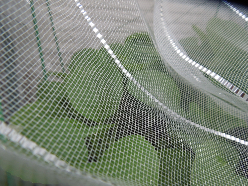 f:id:miyuki1967:20141016155025j:image:w450