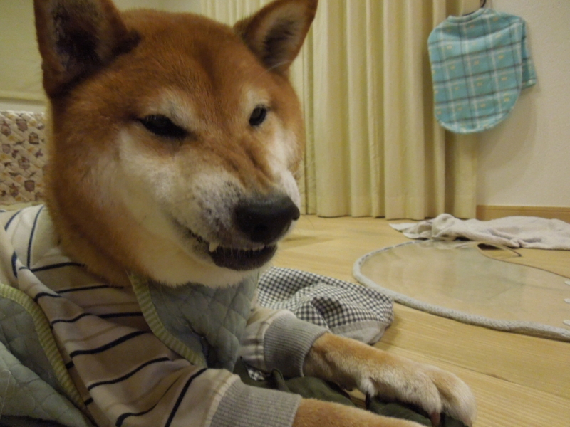 f:id:miyuki1967:20141016160819j:image:w450