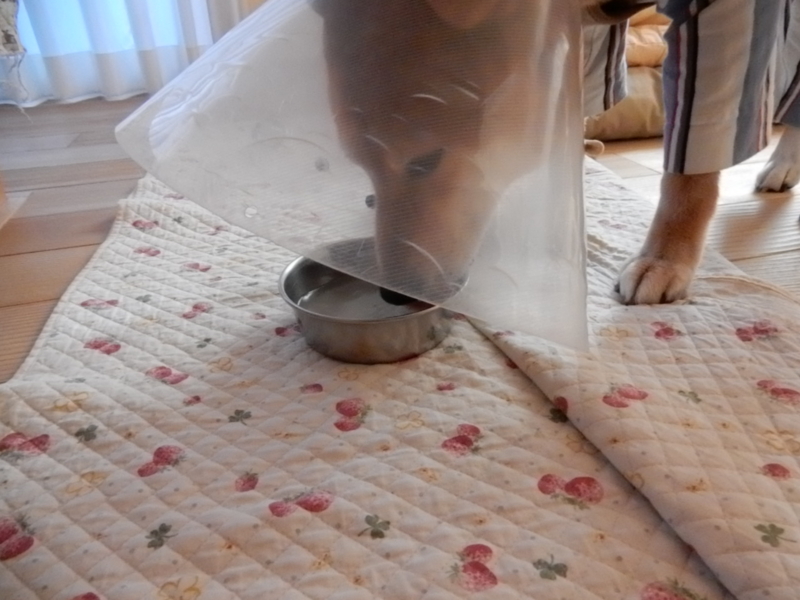 f:id:miyuki1967:20141208133559j:image:w450