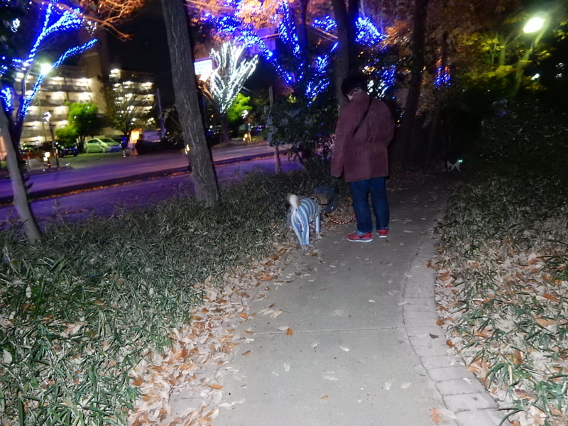 f:id:miyuki1967:20141208134152j:image:w450