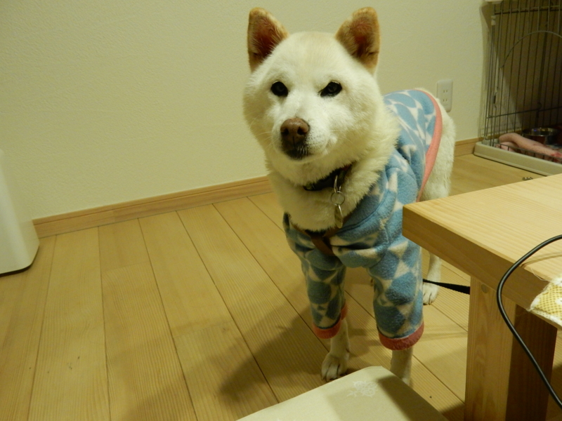 f:id:miyuki1967:20150106111636j:image:w450