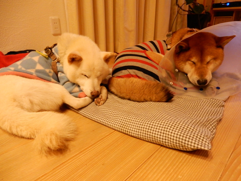 f:id:miyuki1967:20150114114023j:image:w450