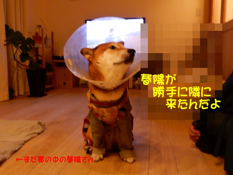 f:id:miyuki1967:20150114114434j:image:w450