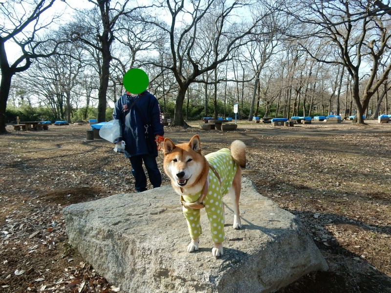 f:id:miyuki1967:20150115112701j:image:w450
