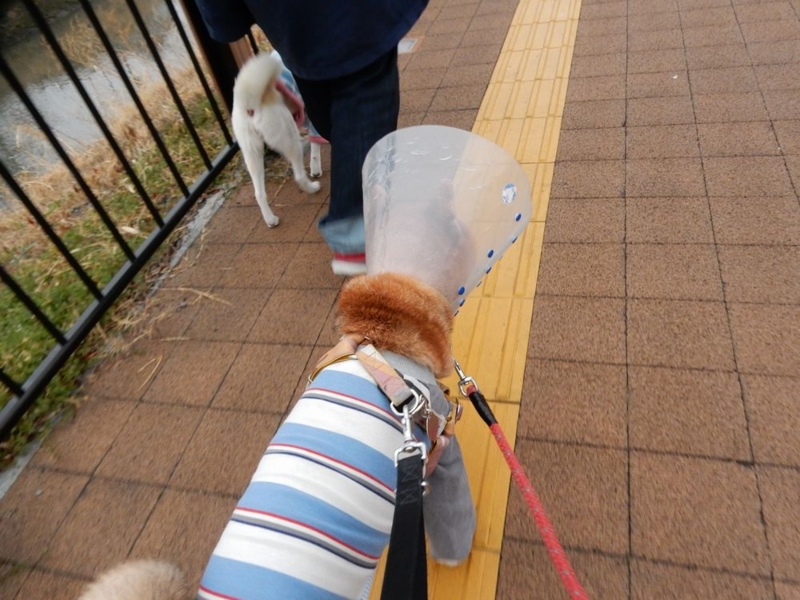 f:id:miyuki1967:20150223110517j:image:w450