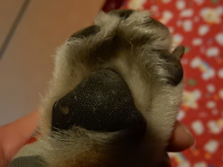 f:id:miyuki1967:20150228121240j:image:w450 f:id:miyuki1967:20150228121240j:image:w450