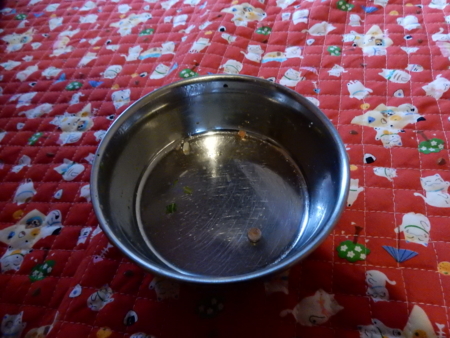 f:id:miyuki1967:20150228121716j:image f:id:miyuki1967:20150228121716j:image