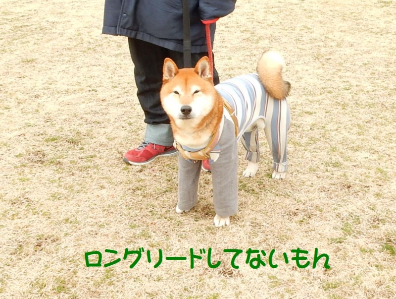f:id:miyuki1967:20150303112341j:image:w450