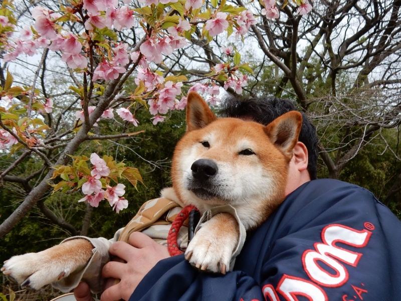 f:id:miyuki1967:20150324115922j:image:w450 f:id:miyuki1967:20150324115922j:image:w450