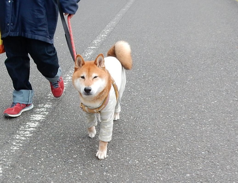 f:id:miyuki1967:20150324120708j:image:w450 f:id:miyuki1967:20150324120708j:image:w450