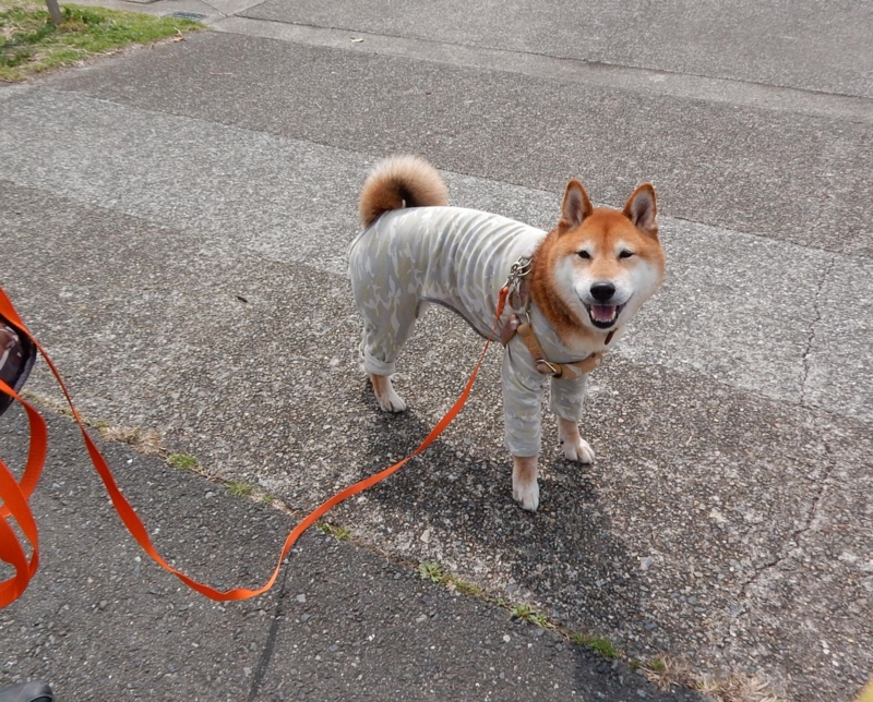 f:id:miyuki1967:20150324121435j:image:w450 f:id:miyuki1967:20150324121435j:image:w450
