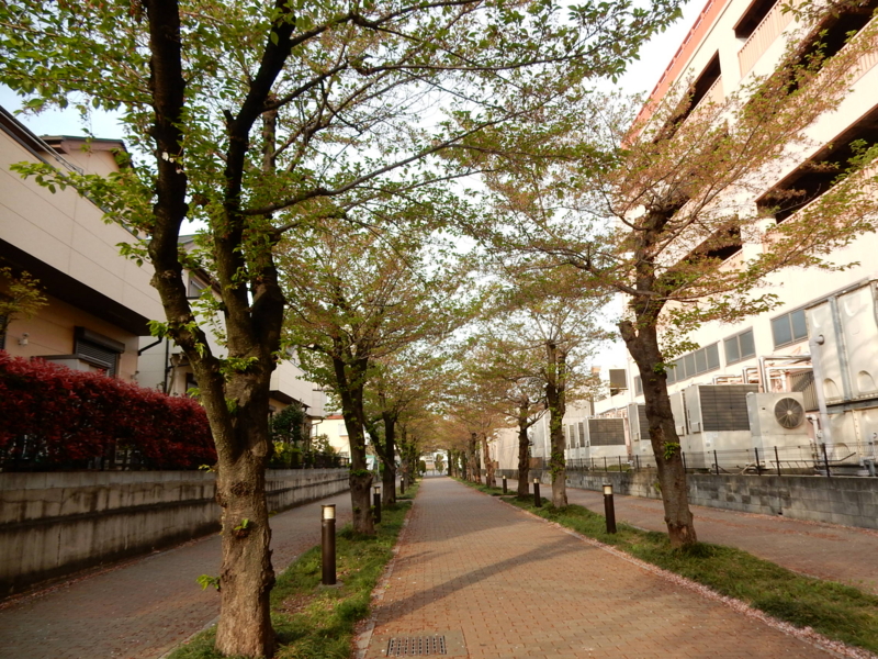 f:id:miyuki1967:20150413111332j:image:w450