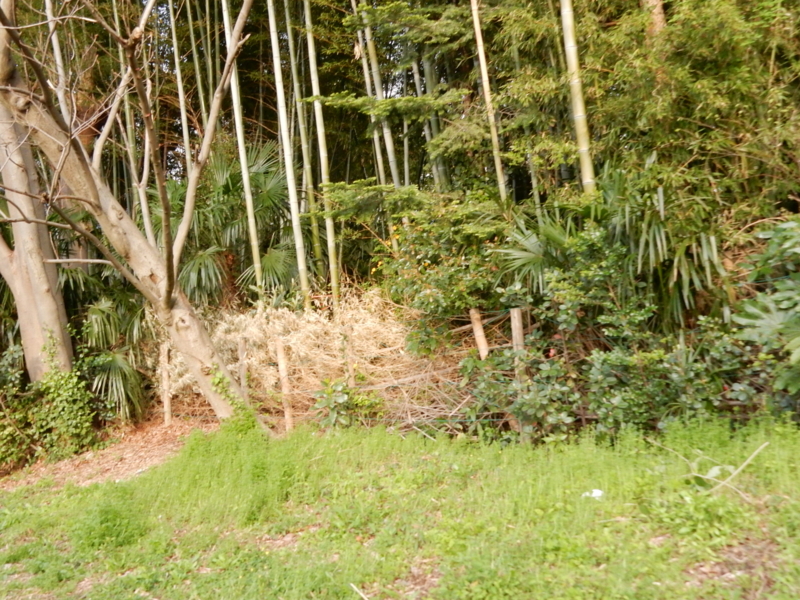 f:id:miyuki1967:20150413112805j:image:w450