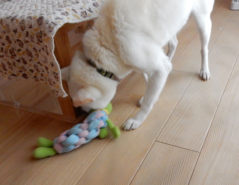 f:id:miyuki1967:20150417101740j:image:w450