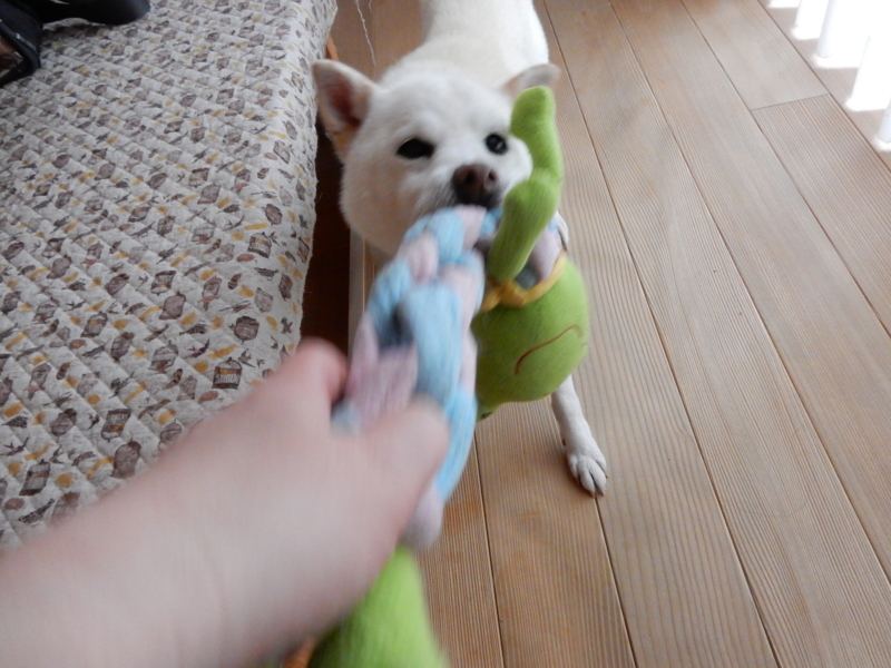 f:id:miyuki1967:20150417102103j:image:w450