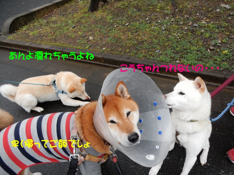 f:id:miyuki1967:20150417105152j:image:w450 f:id:miyuki1967:20150417105152j:image:w450