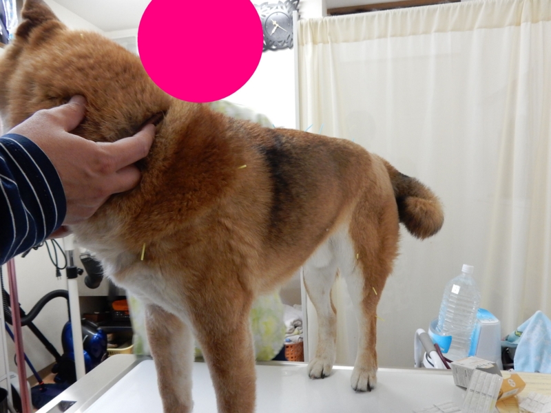 f:id:miyuki1967:20150427092342j:image:w450