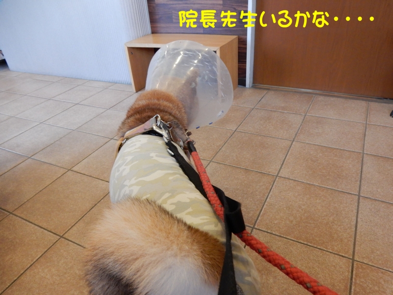 f:id:miyuki1967:20150427100440j:image:w450