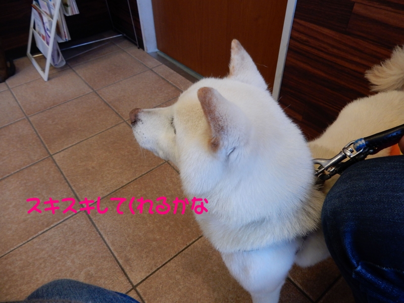 f:id:miyuki1967:20150427100623j:image:w450