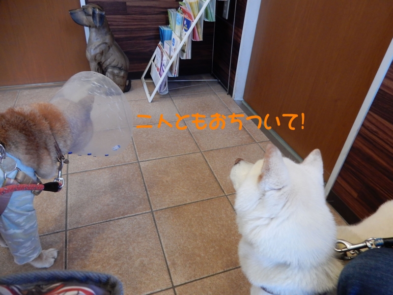 f:id:miyuki1967:20150427101141j:image:w450